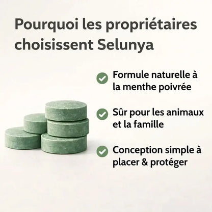 Selunya - Répul'Menthe