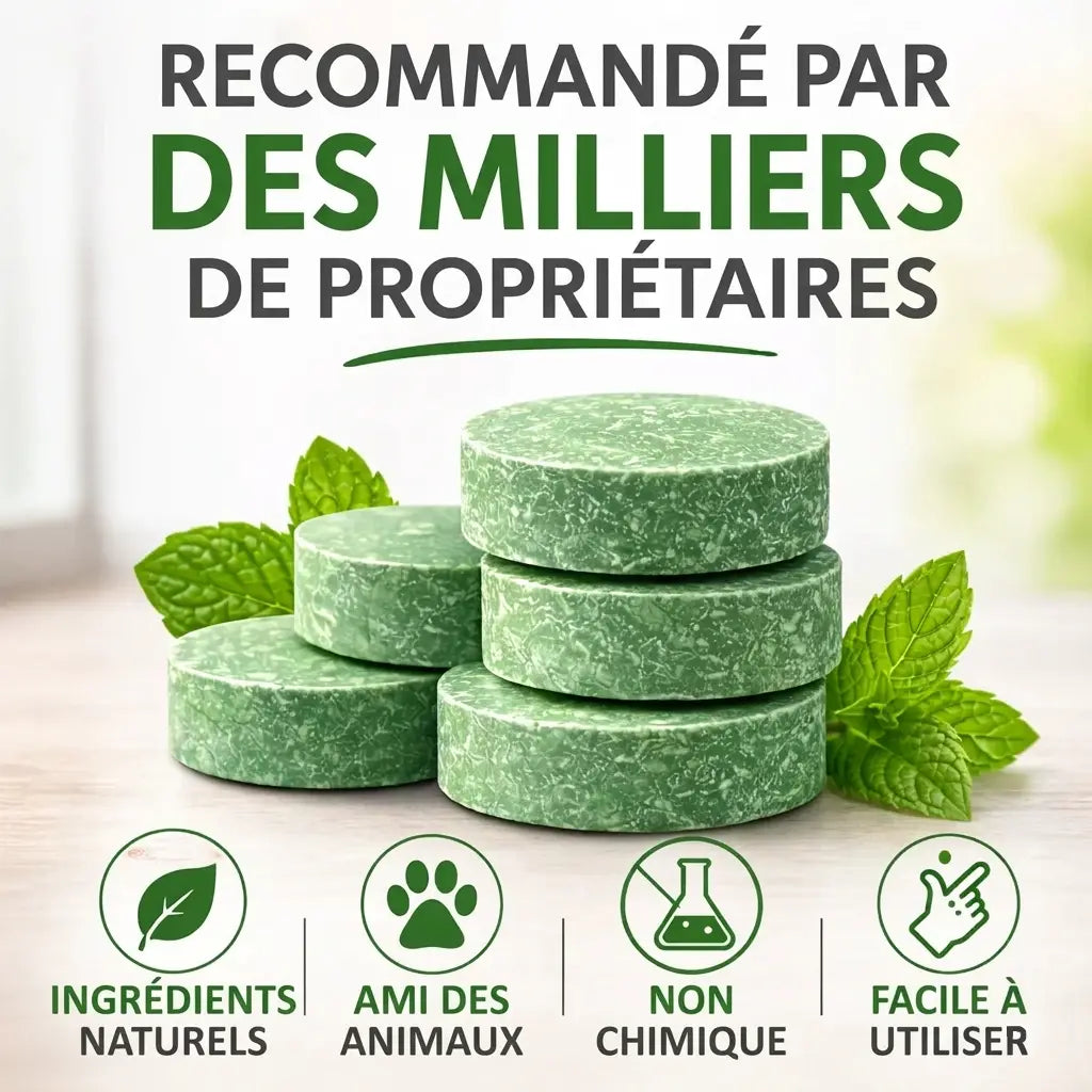 Selunya - Répul'Menthe